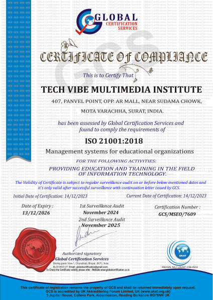 TECH VIBE MULTIMEDIA INSTITUTE(21000)